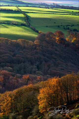 08214 - Exmoor