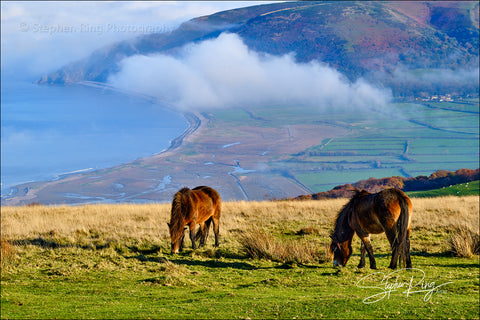 08216 - Exmoor