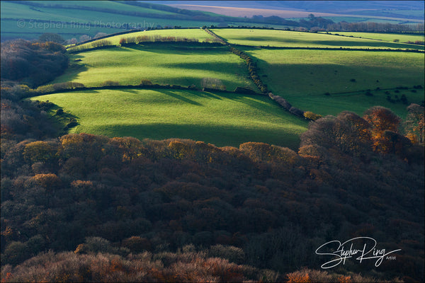 08217 - Exmoor