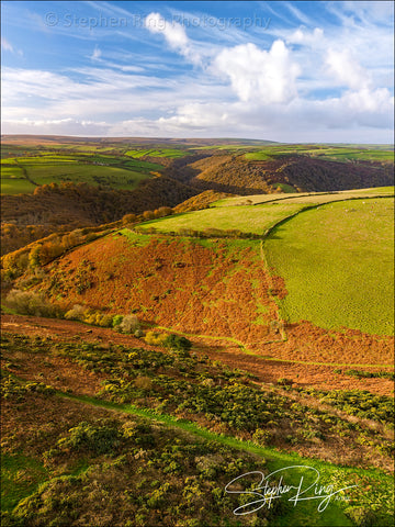 08281 - Exmoor